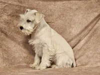 processed/f3eef64a-dba9-4c15-97f1-dfccb5f6bfe6/listing/5949f6ff-38d9-4cb2-b78a-a52e76186be1/a77b563f-acae-489f-ba5d-ee82d99b2016