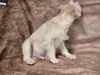 processed/f3eef64a-dba9-4c15-97f1-dfccb5f6bfe6/listing/7f0986d7-a2c5-4e22-9edc-bad2af253cb4/1d062334-4cdf-40e5-827f-69aef820f97c