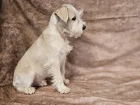 processed/f3eef64a-dba9-4c15-97f1-dfccb5f6bfe6/listing/7f0986d7-a2c5-4e22-9edc-bad2af253cb4/8a192f96-a834-45a4-a9d3-410caa103f6f