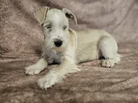 processed/f3eef64a-dba9-4c15-97f1-dfccb5f6bfe6/listing/7f0986d7-a2c5-4e22-9edc-bad2af253cb4/fc4fde79-078e-4f57-8270-e16fbfe75b8b