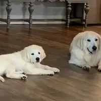 processed/f3f0a28a-e05b-420f-b6f8-29ba0304f80f/facility/09bd7f55-2c60-4d2c-ad7b-dd708159c707