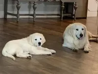 processed/f3f0a28a-e05b-420f-b6f8-29ba0304f80f/facility/09bd7f55-2c60-4d2c-ad7b-dd708159c707