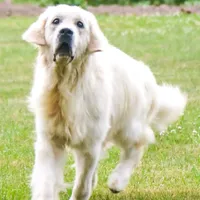 processed/f3f0a28a-e05b-420f-b6f8-29ba0304f80f/facility/0fe7a93b-b617-4812-9a6d-4276e58b7a38