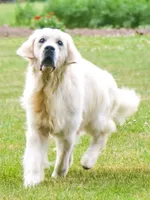 processed/f3f0a28a-e05b-420f-b6f8-29ba0304f80f/facility/0fe7a93b-b617-4812-9a6d-4276e58b7a38