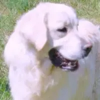 processed/f3f0a28a-e05b-420f-b6f8-29ba0304f80f/facility/236cd2bc-b8f0-4462-bd99-3f30feaec3e9