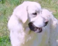 processed/f3f0a28a-e05b-420f-b6f8-29ba0304f80f/facility/236cd2bc-b8f0-4462-bd99-3f30feaec3e9