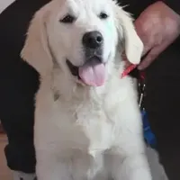 processed/f3f0a28a-e05b-420f-b6f8-29ba0304f80f/facility/2b2c9ea3-da4e-4feb-8331-ef85695db648