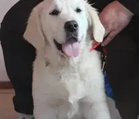 processed/f3f0a28a-e05b-420f-b6f8-29ba0304f80f/facility/2b2c9ea3-da4e-4feb-8331-ef85695db648