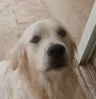 processed/f3f0a28a-e05b-420f-b6f8-29ba0304f80f/facility/3f234c23-f0b3-4cb0-8947-22bea1d9694b