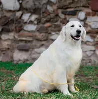 processed/f3f0a28a-e05b-420f-b6f8-29ba0304f80f/facility/c499669b-983e-4015-a251-e0883b35fdf8