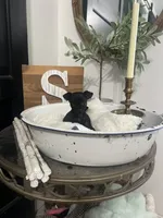 Smokey, a male Chihuahua for sale in Ocala, FL – 2 of 5