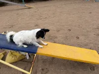 processed/f4094096-af4d-41c0-9fe1-02cc7b007d11/listing/2340f864-297b-4093-bcbc-966864435aba/23a9a752-5fcb-409c-ac57-9b6a364dba7b