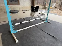 processed/f4094096-af4d-41c0-9fe1-02cc7b007d11/listing/2340f864-297b-4093-bcbc-966864435aba/69cee7c4-5c6c-4075-81e0-40788bdde768