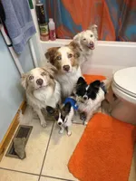 processed/f4094096-af4d-41c0-9fe1-02cc7b007d11/listing/2340f864-297b-4093-bcbc-966864435aba/89538b45-cf1e-4f23-b09f-1ca0aec3b1fc