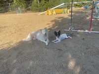 processed/f4094096-af4d-41c0-9fe1-02cc7b007d11/listing/2340f864-297b-4093-bcbc-966864435aba/a5f8a246-5916-4354-a0c9-217ea802b07a