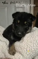 processed/f411007a-1435-4550-9720-9d6b91a44eb5/listing/8ac066c4-49c5-427e-92d2-3abd7708f48f/22e13675-8545-47d3-a9a1-3bc58591b1d6