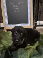 processed/f411007a-1435-4550-9720-9d6b91a44eb5/listing/8ac066c4-49c5-427e-92d2-3abd7708f48f/f9bf99af-5729-40f2-87f5-d0f692f9f837