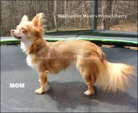 processed/f4180d0b-7696-44c0-a403-43cf92c2ce3e/facility/191ce5de-292f-4d44-a708-e3eb5fa02fe0