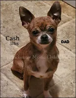 processed/f4180d0b-7696-44c0-a403-43cf92c2ce3e/facility/273cbb07-9ecd-4b49-a484-7214e8777f8a