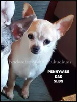 processed/f4180d0b-7696-44c0-a403-43cf92c2ce3e/facility/35597c0b-5fe1-40c9-a30a-790b5b0b88f5