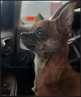 processed/f4180d0b-7696-44c0-a403-43cf92c2ce3e/facility/89a192c2-f3c8-4a15-b520-5233db4085ed