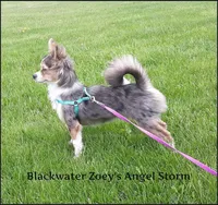 processed/f4180d0b-7696-44c0-a403-43cf92c2ce3e/facility/dbc99129-7c7c-41db-9f7b-7c01f14f8493