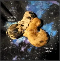 processed/f4180d0b-7696-44c0-a403-43cf92c2ce3e/facility/eb010544-4bea-4660-ba0b-3c2f2aa54337