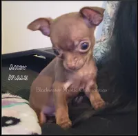 processed/f4180d0b-7696-44c0-a403-43cf92c2ce3e/listing/0cf52dbd-c72d-4e09-b0d3-1f2fc17f4afc/0c3fd2c0-b928-40fd-abea-9a73ff314aea