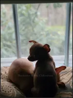 processed/f4180d0b-7696-44c0-a403-43cf92c2ce3e/listing/0cf52dbd-c72d-4e09-b0d3-1f2fc17f4afc/d205af29-17f5-4607-ab1f-1be40c4f133d