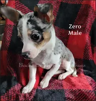 processed/f4180d0b-7696-44c0-a403-43cf92c2ce3e/listing/acc80825-1e5e-4763-b9e7-b7a69b3b962b/7c2575ab-0052-467c-aad1-eab5a2bc7bd9