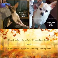 processed/f4180d0b-7696-44c0-a403-43cf92c2ce3e/listing/acc80825-1e5e-4763-b9e7-b7a69b3b962b/fa4236ff-9a61-4d92-bc75-8cda01b72c20