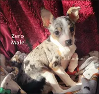 processed/f4180d0b-7696-44c0-a403-43cf92c2ce3e/listing/acc80825-1e5e-4763-b9e7-b7a69b3b962b/ff8b089c-2b26-4447-8183-9d1a1410e6d0