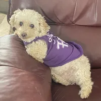 processed/f41e6d7b-3097-453b-a97a-820eea1b670c/facility/07957ad4-31c0-4914-b92d-668351c2beea