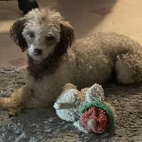 processed/f41e6d7b-3097-453b-a97a-820eea1b670c/facility/33be5ecc-6497-4d71-bdd4-a3ea1ad53320