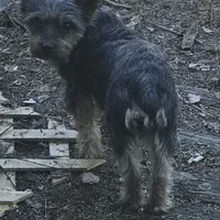 processed/f41e6d7b-3097-453b-a97a-820eea1b670c/facility/b7e2e381-8806-440d-8988-7ce1e65c47c3