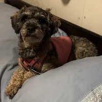 processed/f41e6d7b-3097-453b-a97a-820eea1b670c/facility/bc0a0fe2-292a-4394-aa61-ba712c7142f6