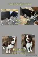 processed/f41fdd53-f957-4af5-a152-4ddfcdb7f6e9/facility/58492f17-6712-4fc4-a426-f54fd7699870