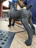 Santo, a male Cane Corso for sale in Stockton, CA – 2 of 3