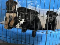 processed/f43b4cf9-b07f-449a-a3a2-46fbc1d29d9a/listing/6335b8af-1195-4071-973a-cbbb5c866e86/67805e15-9ff0-4b19-8e20-80efd1d69d4a