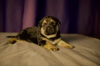 processed/f43b4cf9-b07f-449a-a3a2-46fbc1d29d9a/listing/6335b8af-1195-4071-973a-cbbb5c866e86/d24fc025-be3d-4197-b203-6f87a5718790