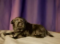 processed/f43b4cf9-b07f-449a-a3a2-46fbc1d29d9a/listing/c2d90733-3a1b-494a-997c-301cbbc72de5/51c5c2b9-479c-48ec-b651-02ed446fe4ad