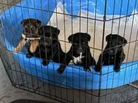 processed/f43b4cf9-b07f-449a-a3a2-46fbc1d29d9a/listing/c2d90733-3a1b-494a-997c-301cbbc72de5/ff758368-4788-432d-82e0-b0aad2487695