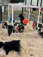 processed/f44a452a-e6c1-4472-8e05-857f9724334c/facility/97b0cde3-a518-4adb-b21b-54a44b9a14e6