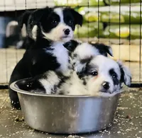 processed/f44a452a-e6c1-4472-8e05-857f9724334c/facility/ea8c8f8c-b769-4b99-a27e-91cf1546216e