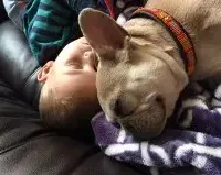 processed/f4527e03-8192-49cd-82be-af01160618a7/facility/091133d0-31c2-4783-9434-eeceec6701b8