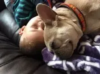 processed/f4527e03-8192-49cd-82be-af01160618a7/facility/091133d0-31c2-4783-9434-eeceec6701b8