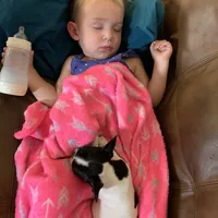 processed/f4527e03-8192-49cd-82be-af01160618a7/facility/54c91197-45ee-4c35-bc13-fa9b13e20902