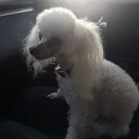 processed/f4527e03-8192-49cd-82be-af01160618a7/facility/bc182de5-d84a-4cd0-8812-df4741b12bb8