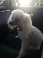 processed/f4527e03-8192-49cd-82be-af01160618a7/facility/bc182de5-d84a-4cd0-8812-df4741b12bb8