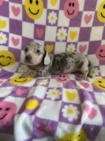 processed/f4527e03-8192-49cd-82be-af01160618a7/listing/faa3f4ff-1d30-42c0-af09-1bebe977760b/3d25de13-208d-41ec-ba78-90a2634938b6